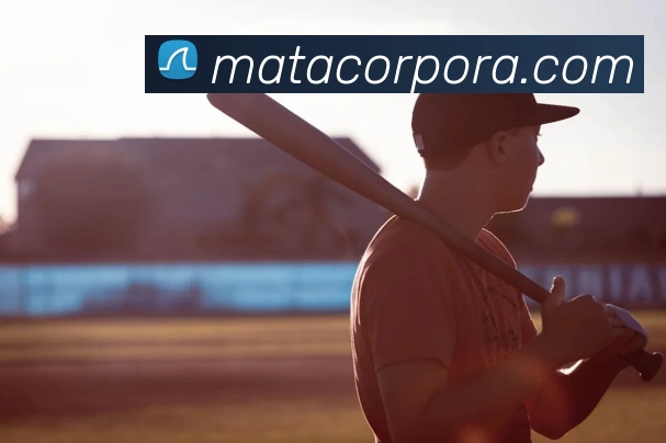 世界杯买输赢网站APP 封面图